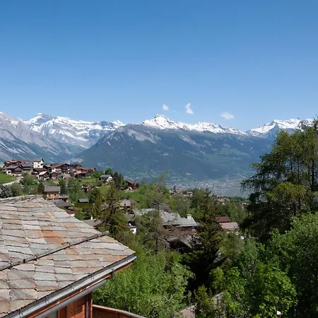 Chalet Anusach By Interhome Nendaz