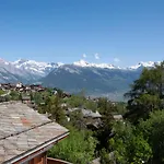 Domek alpejski Anusach By Interhome Nendaz